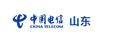 中国电信山东公司